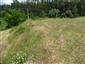 jašterica bystrá (10.7.2013)